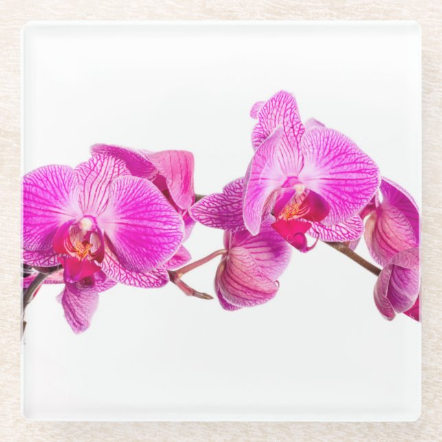 Orchid Glasuntersetzer (Vorderseite)