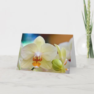 Orchid • Greeting Card Karte