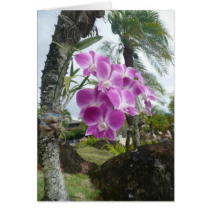 Orchid hing from tree - Blank Card