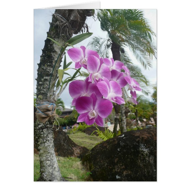 Orchid hing from tree - Blank Card (Vorne)