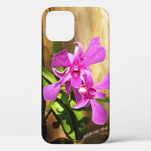 Orchid in Crepe Myrtle Tree - iPhone 12 Fall Case-Mate iPhone Hülle (Rückseite)