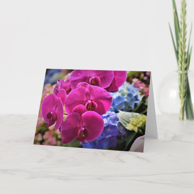 Orchid, Karte (Vorderseite)