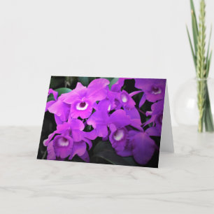 Orchid, Karte