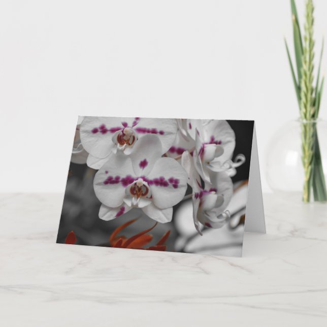 Orchid, Karte (Vorderseite)