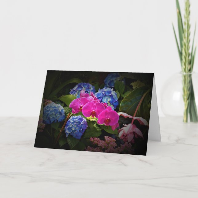 Orchid, Karte (Vorderseite)