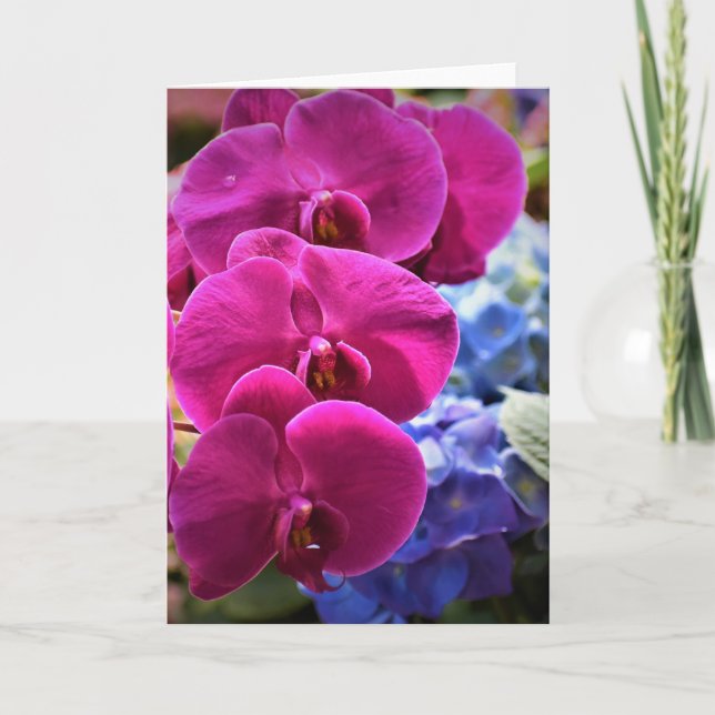 Orchid, Karte (Vorderseite)