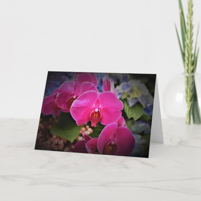 Orchid, Karte (Vorderseite)