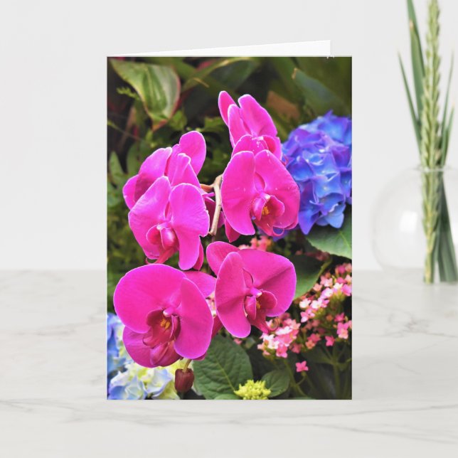 Orchid, Karte (Vorderseite)