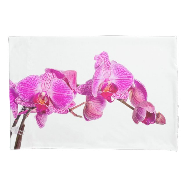 Orchid Kissenbezug (Vorderseite)