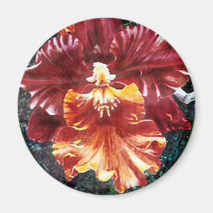 Orchid Magnet