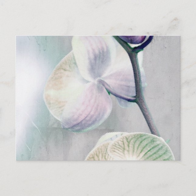Orchid-Malerei Postkarte (Vorderseite)