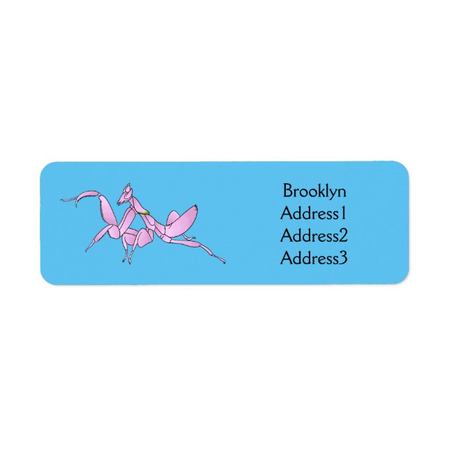 Orchid mantis Cartoon Illustration (Vorne)