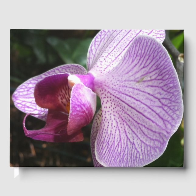 Orchid: Mind Edition Gästebuch (Vorderseite)
