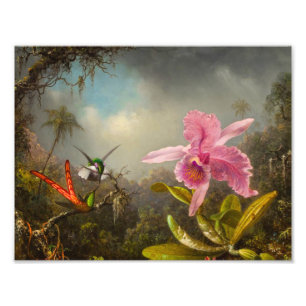 Orchid mit zwei Hummingbirds Heade Fotodruck