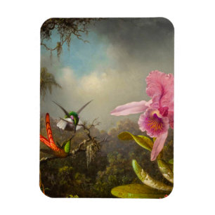 Orchid mit zwei Hummingbirds Heade Magnet