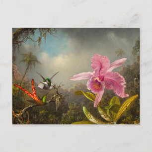 Orchid mit zwei Hummingbirds Heade Postkarte