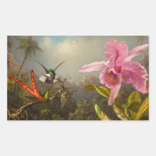 Orchid mit zwei Hummingbirds Heade Rechteckiger Aufkleber
