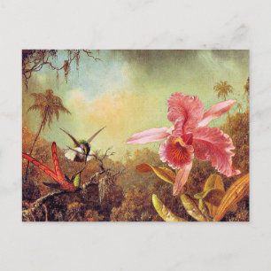 Orchid mit zwei Hummingvögeln, Kunstmalerei,  Postkarte