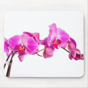 Orchid Mousepad