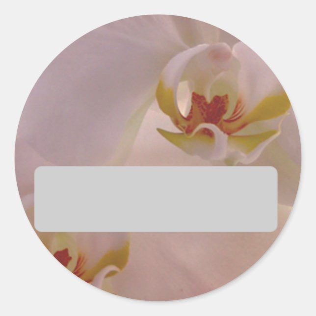 Orchid Name Sticker (Vorderseite)