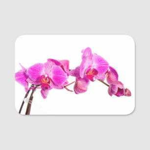 Orchid Namensschild