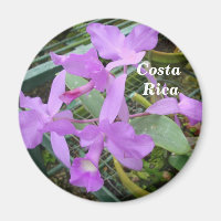 Orchid — Nationale Blume Costa Ricas