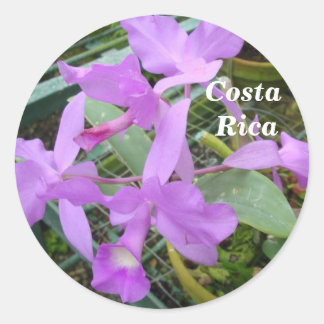 Orchid — Nationale Blume Costa Ricas Runder Aufkleber