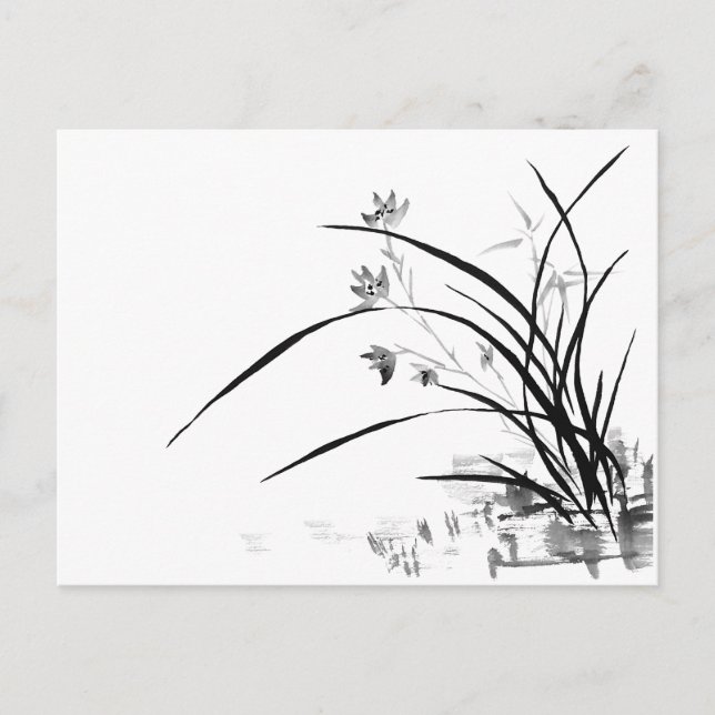 Orchid Nobility Postkarte (Vorderseite)