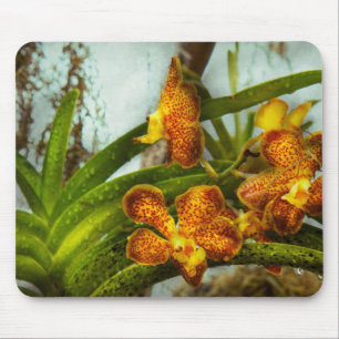 Orchid - Oncidium - gereift Mousepad