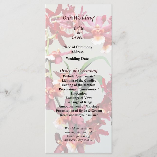 Orchid Oncostele Hilo Firecracker Neujahrsprogramm Programm (Vorderseite)