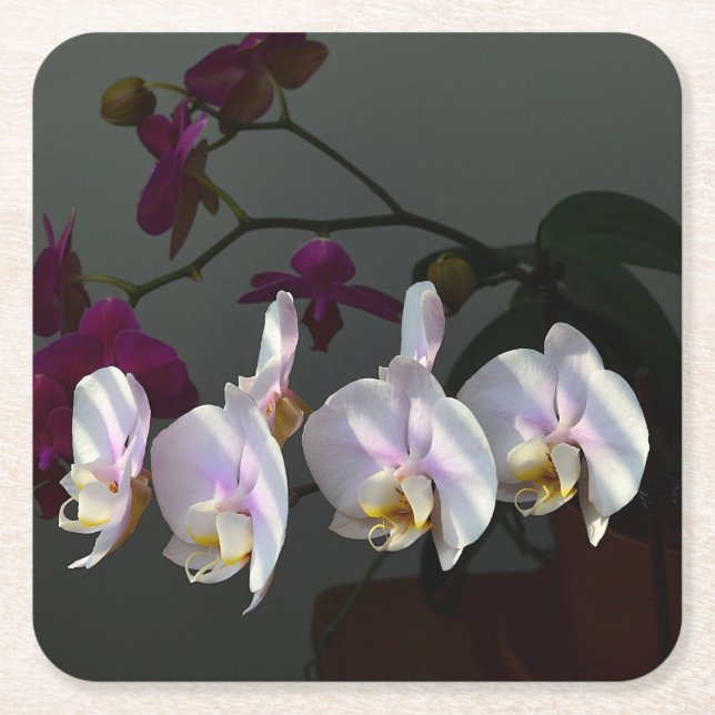 Orchid Paper Untersetzer (Vorderseite)