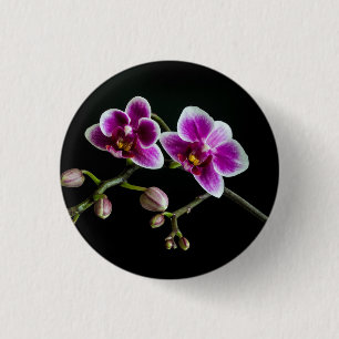 Orchid pinkfarbene weiße Farbe auf schwarz blass s Button