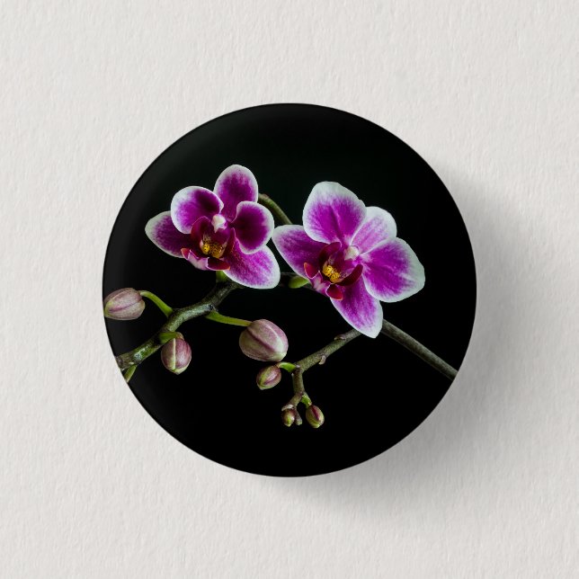 Orchid pinkfarbene weiße Farbe auf schwarz blass s Button (Vorderseite)