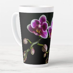 Orchid pinkfarbene weiße Farbe auf schwarz blass s Milchtasse