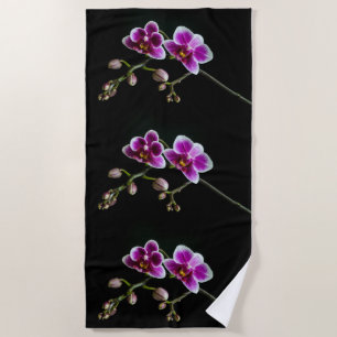 Orchid pinkfarbene weiße Farbe auf schwarz blass s Strandtuch