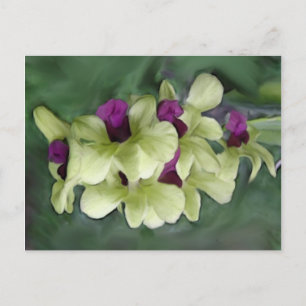 Orchid Postkarte