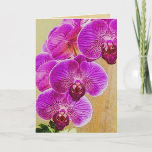 Orchid Promises können personalisiert werden Feiertagskarte