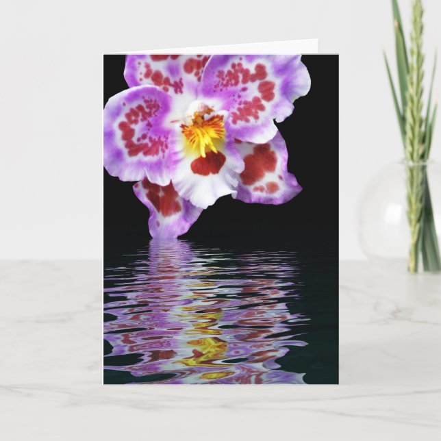 Orchid Reflection Karte (Vorderseite)