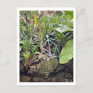 Orchid Room Strichmännchen 1 | Phipps Conservatory Postkarte