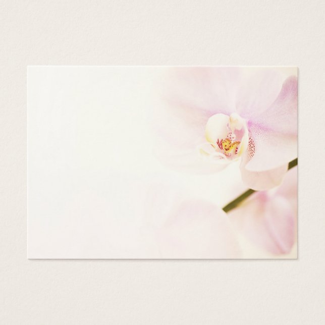 Orchid - Rosa Blume mit hohem Schlüssel - Blumenvo (Vorderseite)