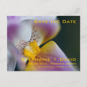 Orchid Save the Date Postkarte