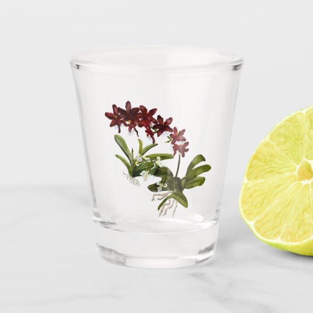 Orchid Shot Glass Schnapsglas (Vorderseite)