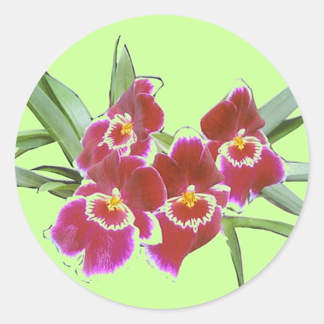 Orchid Spray Sticker Siegel (Vorderseite)