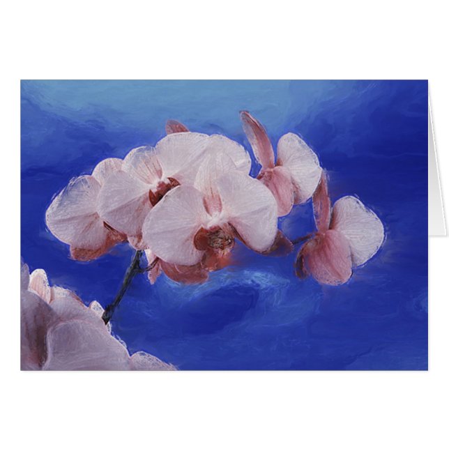 Orchid Spring (Vorderseite (Horizontal))