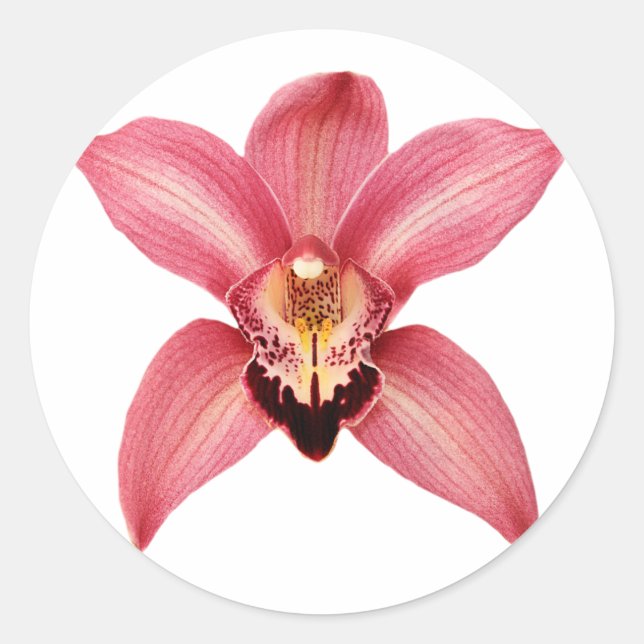 Orchid Stickers (Vorderseite)