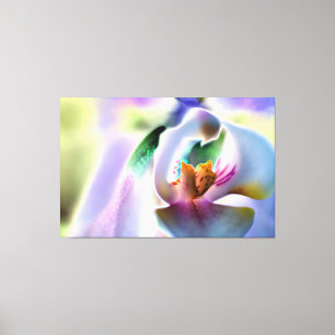 Orchid Stretched Canvas Print Leinwanddruck