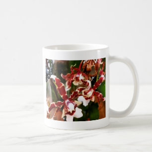 Orchid Tasse
