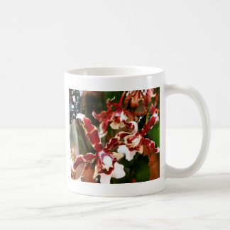 Orchid Tasse
