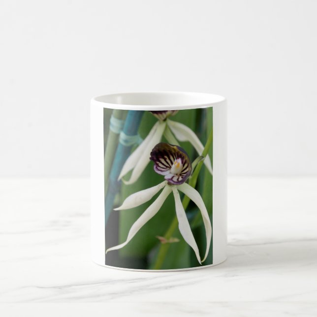 Orchid Tasse (Mittel)