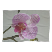 Orchid Teetuch
